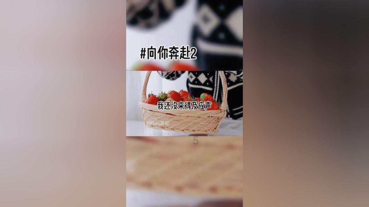 升空的愤怒奶奶