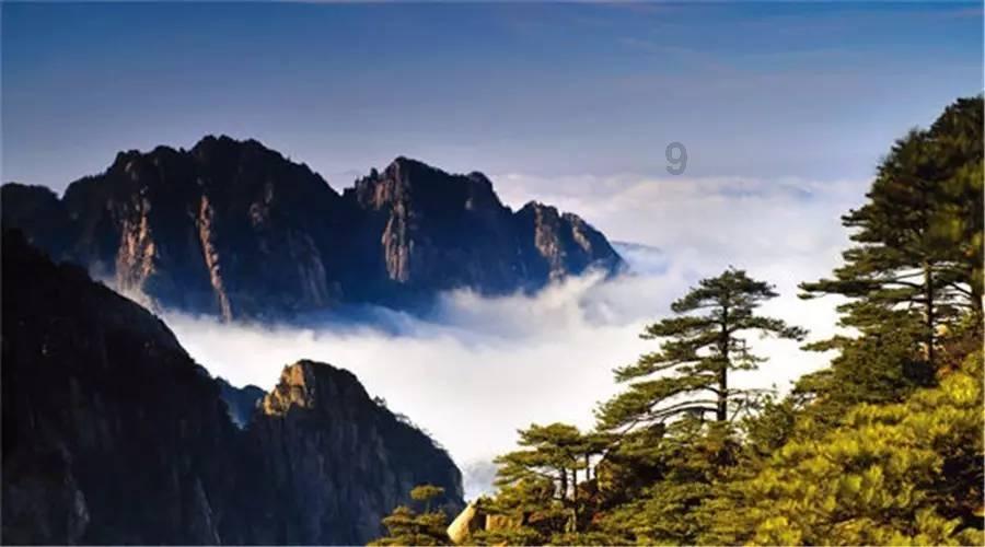 仓鼠可以吃新鲜蓝莓吗？游戏画面
