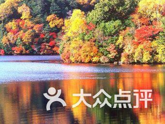 羽毛球鞋可以平时穿吗-机智问答网页
