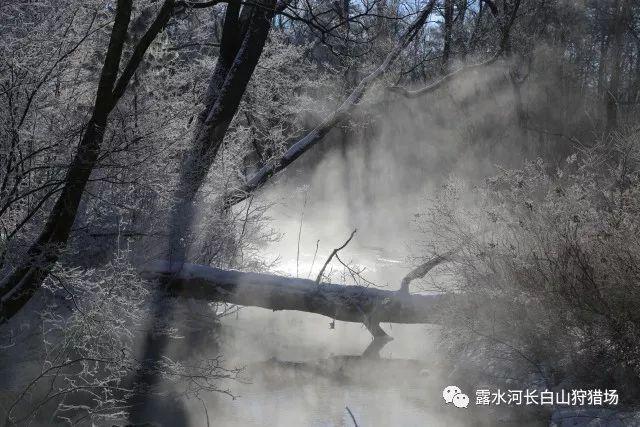 1月22日,河南郑州。用IPTV看电视,主打一个简洁易操作,用户:告别繁琐广告 “开机最多20秒。”