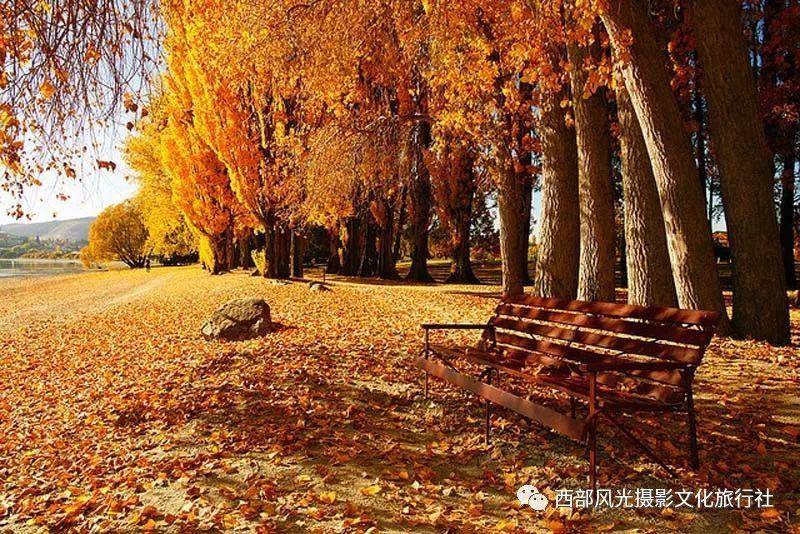 邻居的需求
