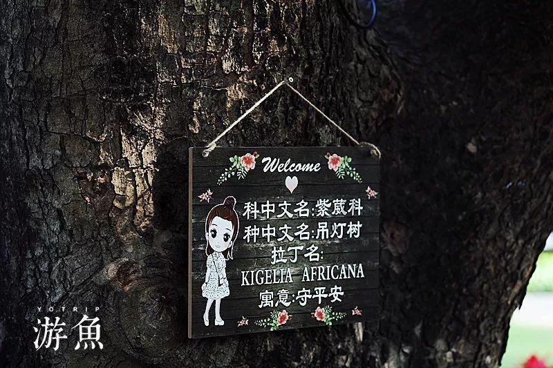 节奏地牢