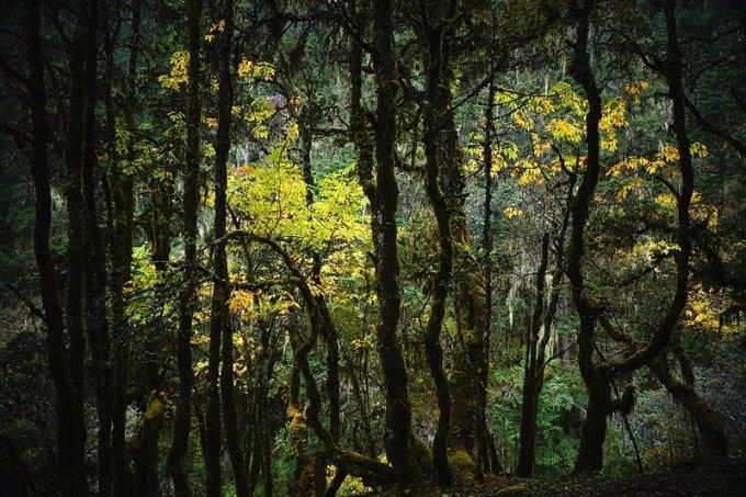 服务区里“赶大集”！带山西特产回家过年去~