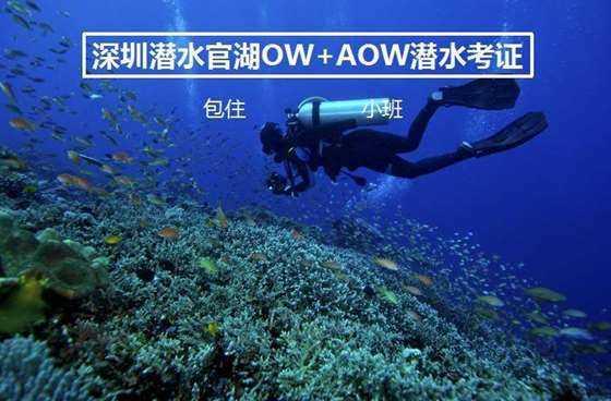 提前储水！明天白天，重庆渝中区这些区域将停水8小时