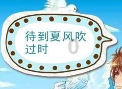 夏季的雨