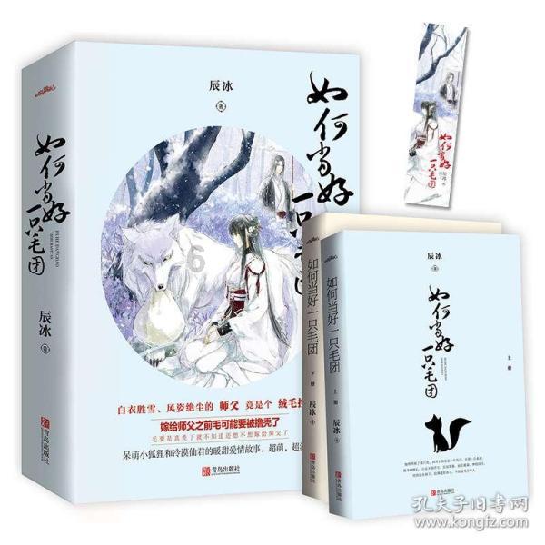 定西市第五届人民代表大会第四次会议关于政府工作报告的决议