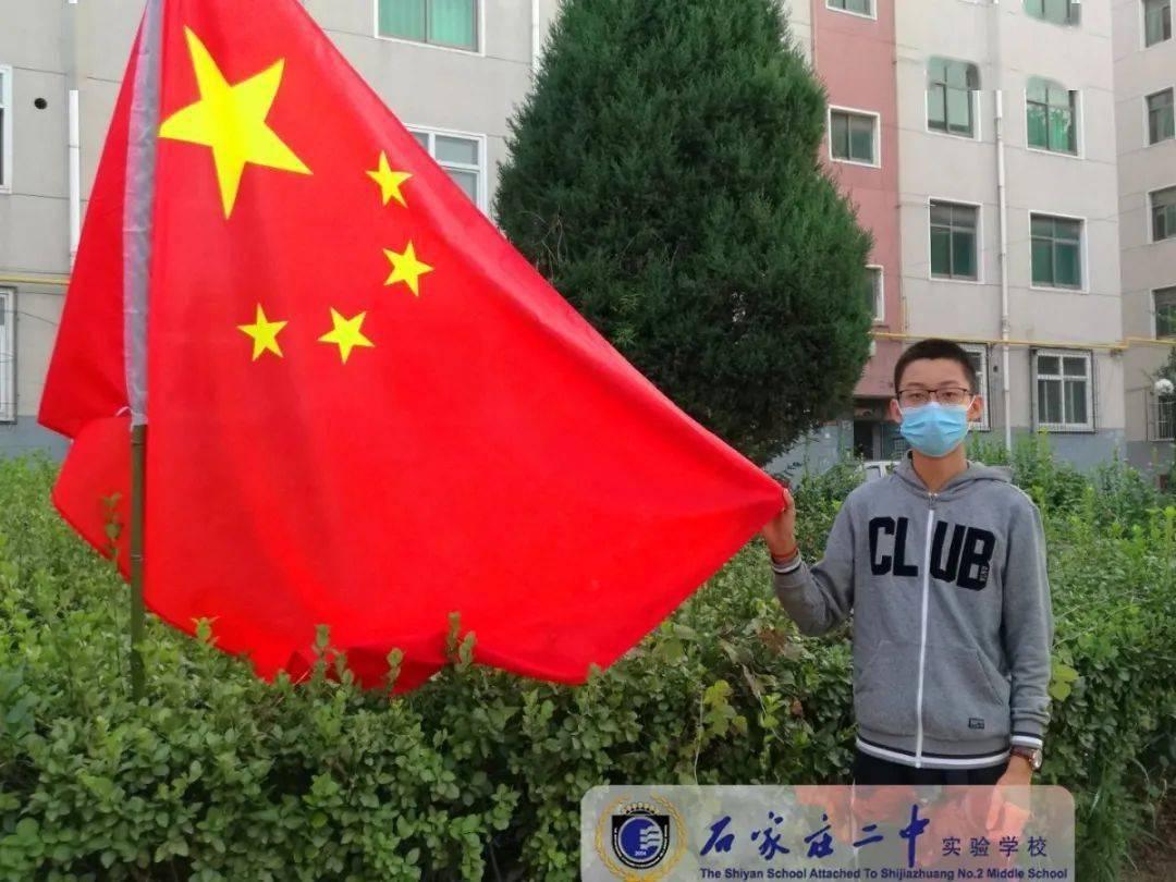 绿叶花卉叶子发黄怎么办
