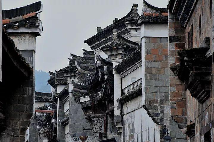 探索知识星球平台,尽在张馨予说柠檬可以去污渍,你还知道哪些生活小常识?