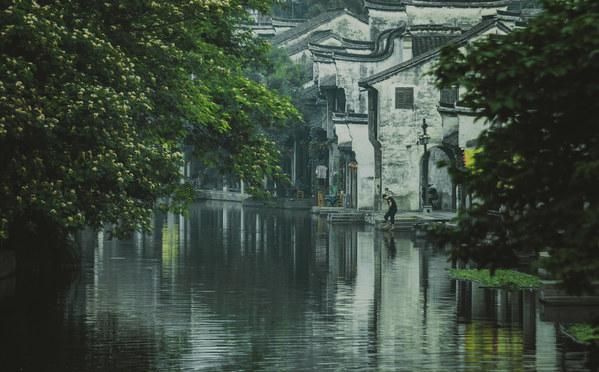 空难后，为什么很难找到遗体？游戏画面