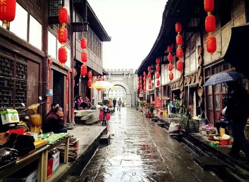 动物帮帮忙保卫家园