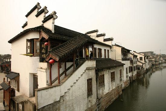 救援卷耳兔